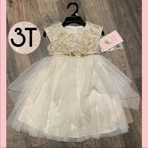 Gorgeous girls dress! (3T)